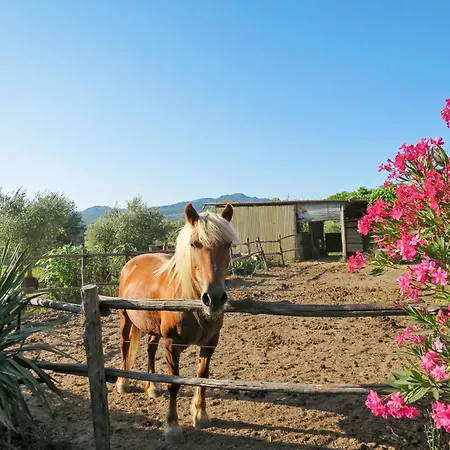 Bellosguardo By Interhome * Podere Caminino