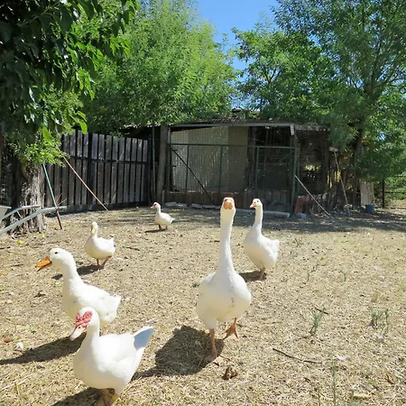 Bellosguardo By Interhome Podere Caminino